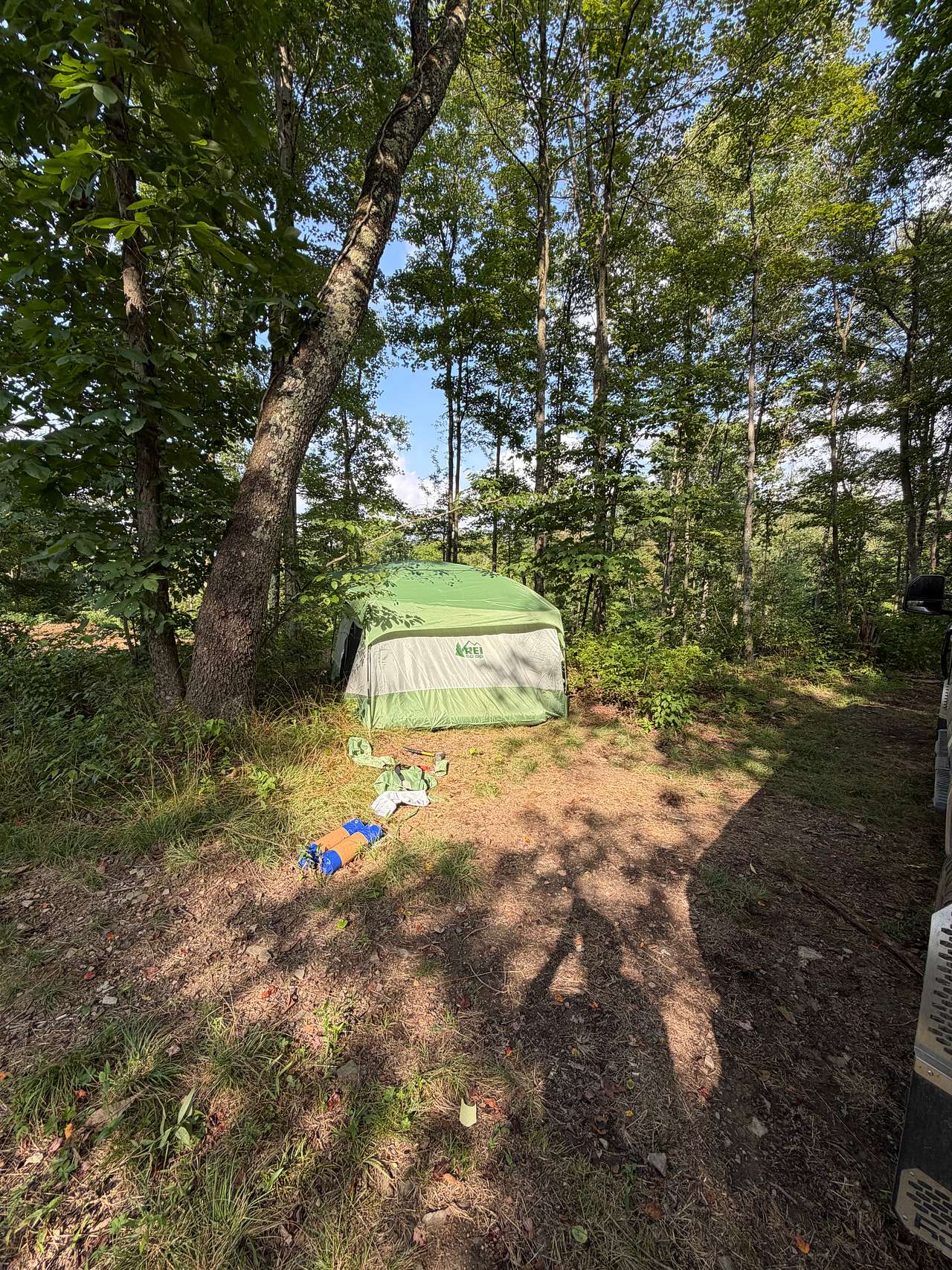 Picture of the site