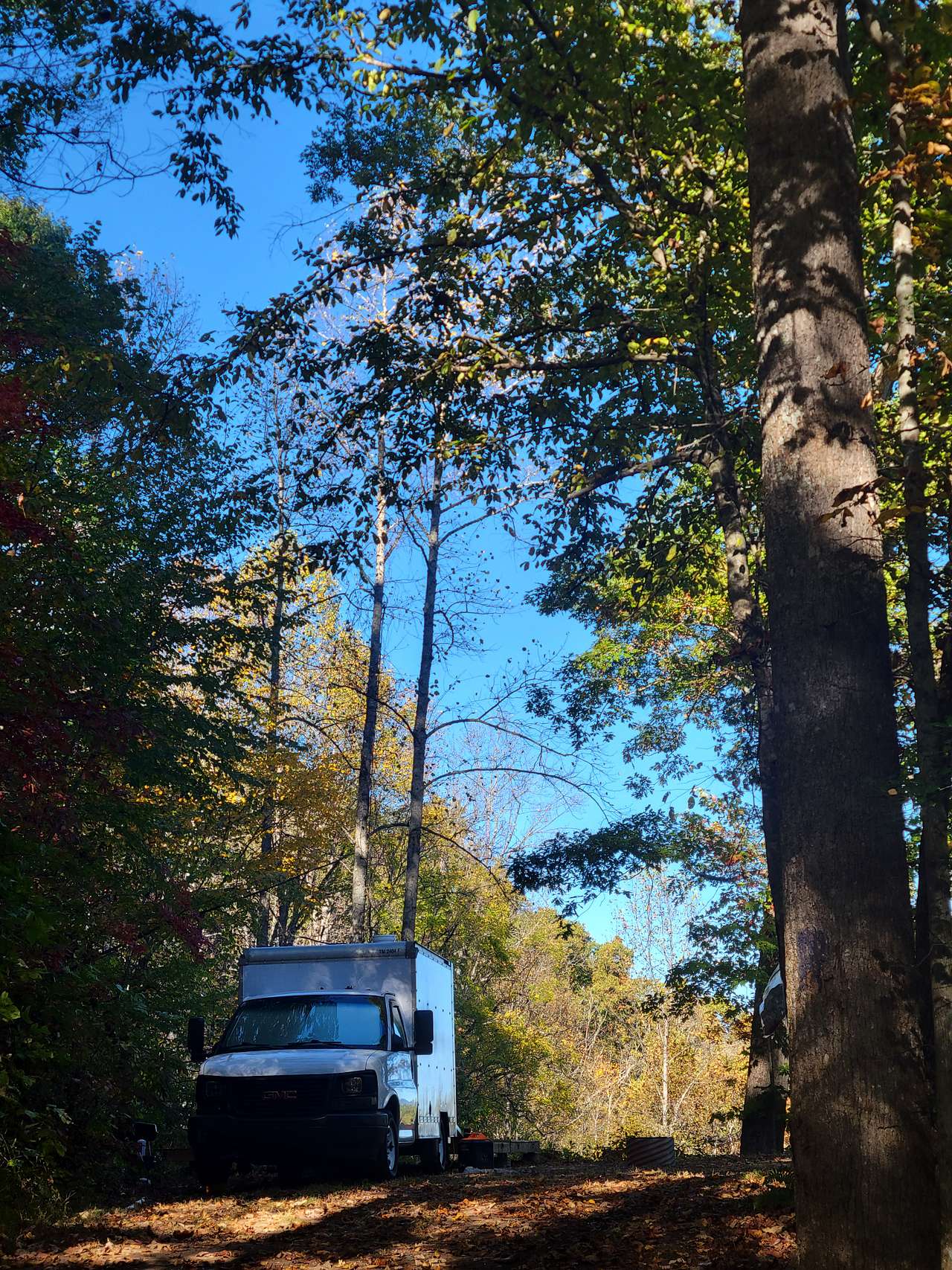 Cardinal Mountain Campground