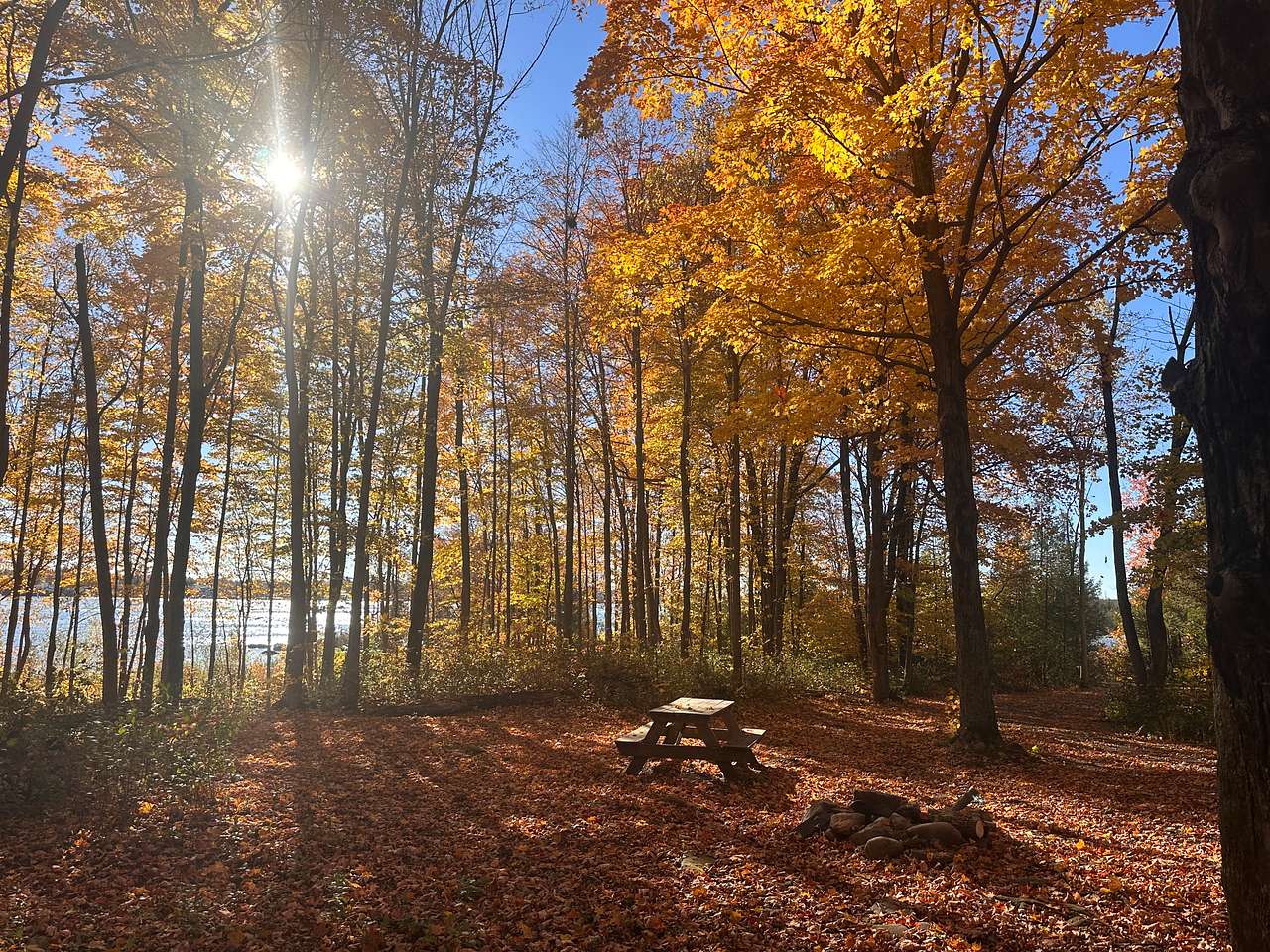 Camp, Ottawa river, Grenville C-O-G