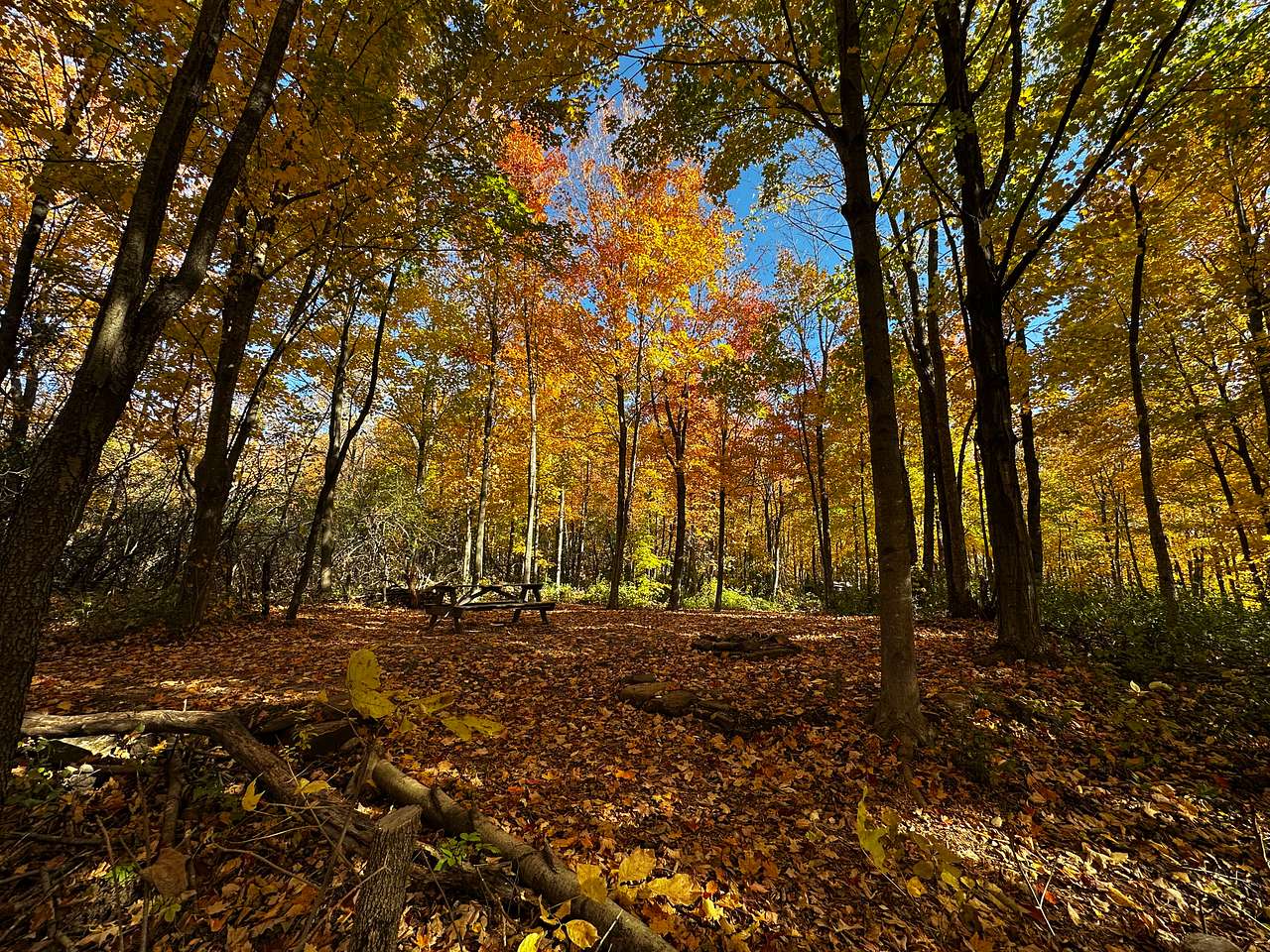 Camp, Ottawa river, Grenville C-O-G