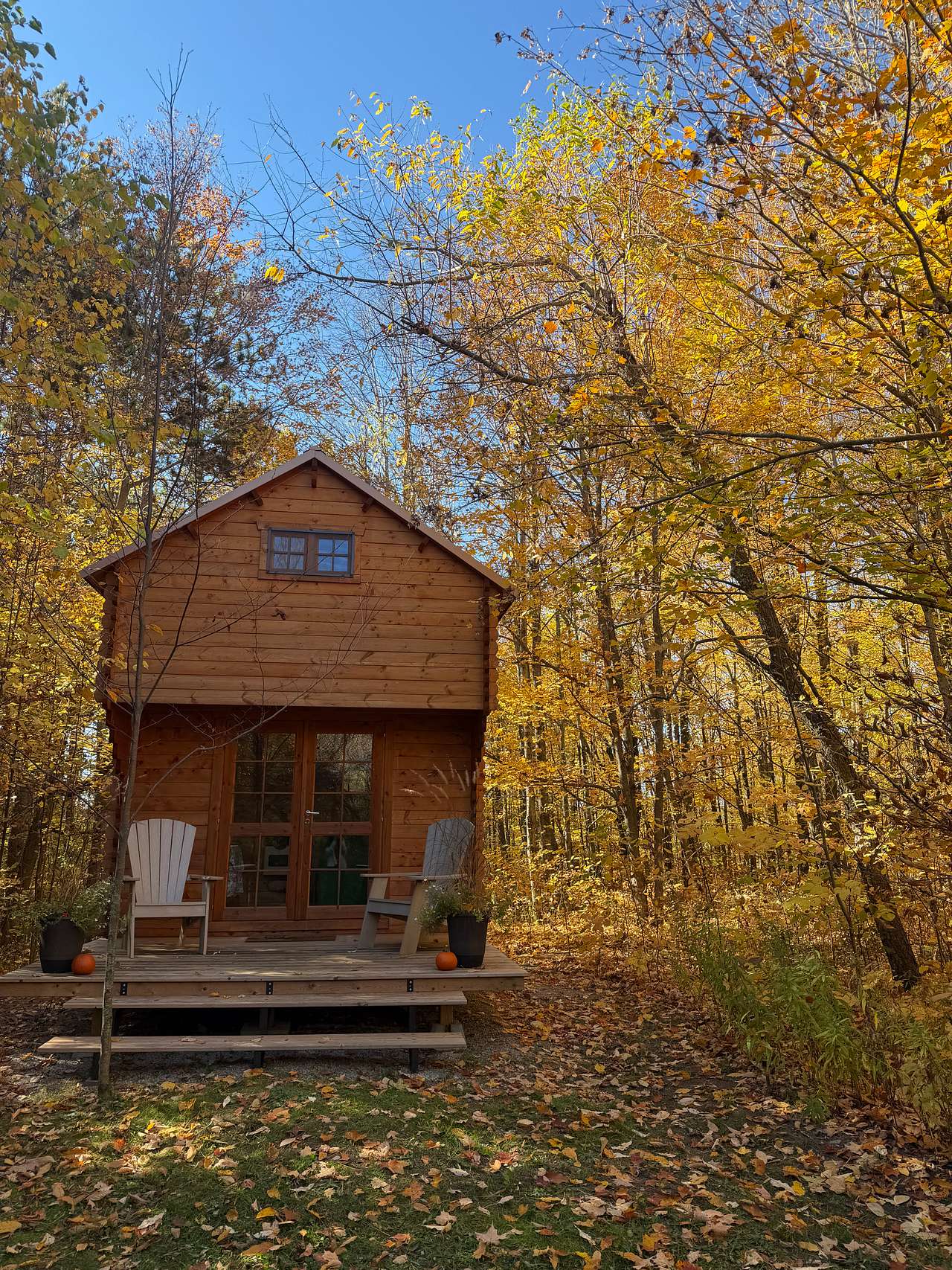 Forest Bunkie on Bruce Trail