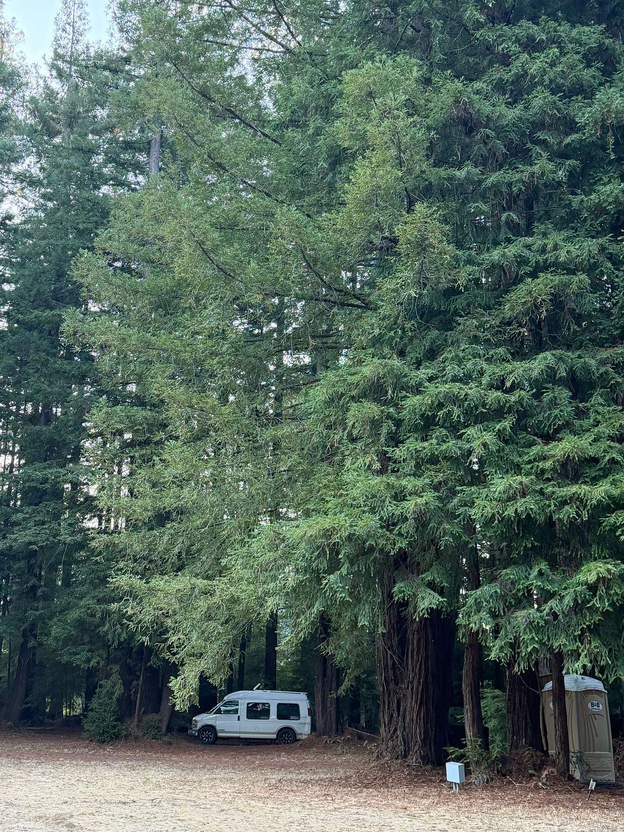The campsite, and cool train trestle nearby.