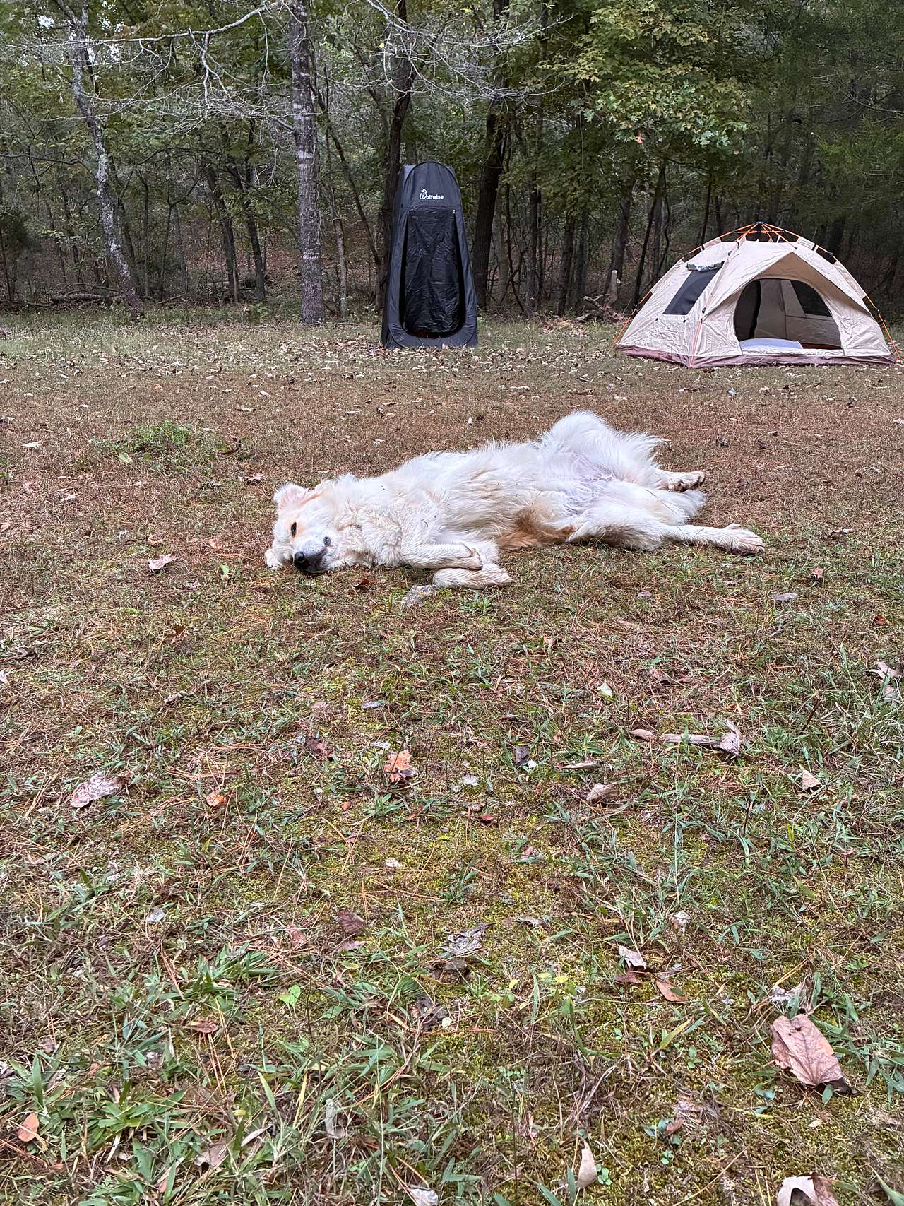 Robert's Redneck Retreat, LLC
