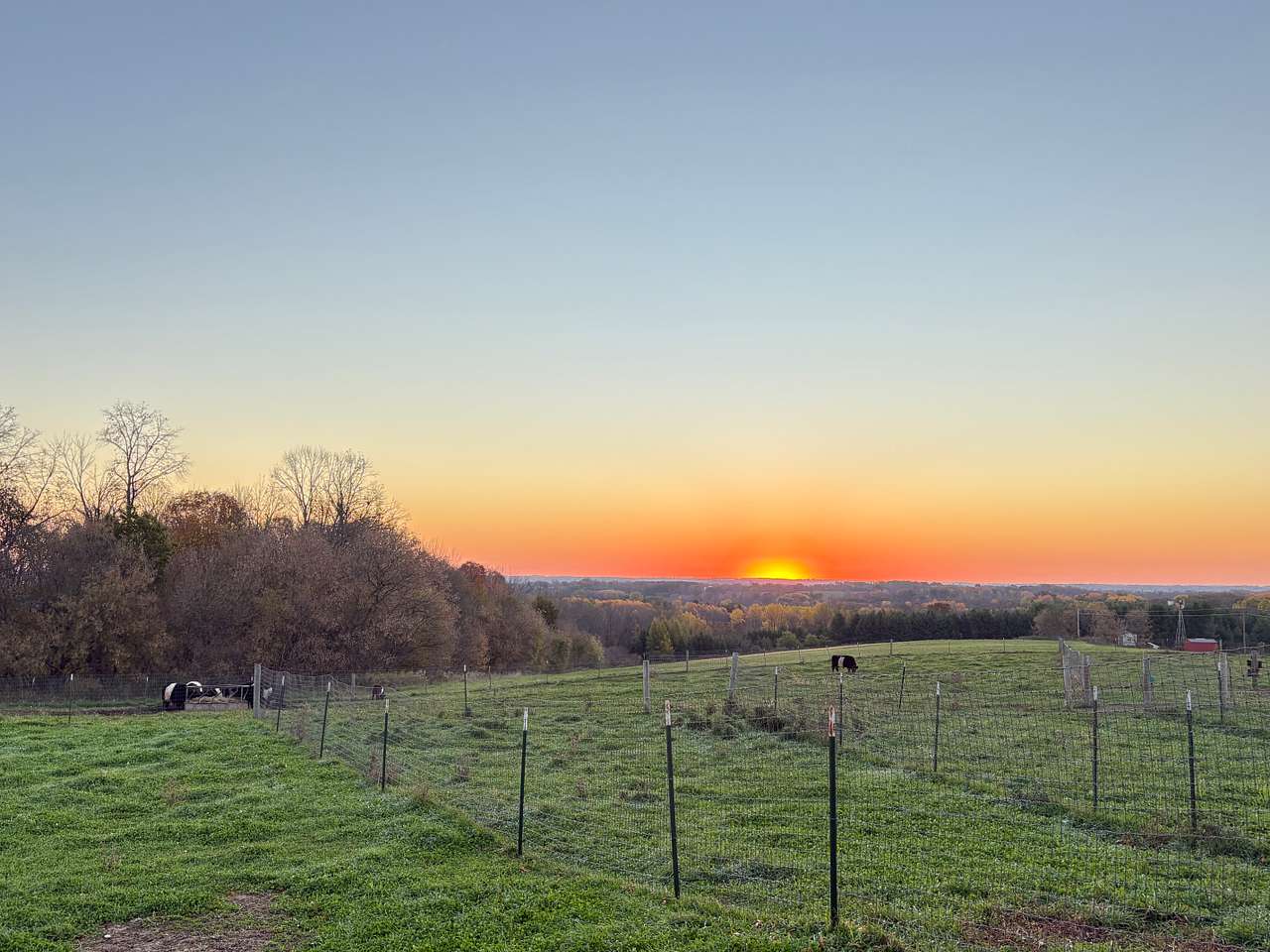 Elysian View Farms