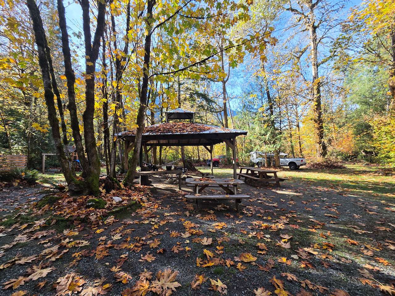 Beautiful fall setting