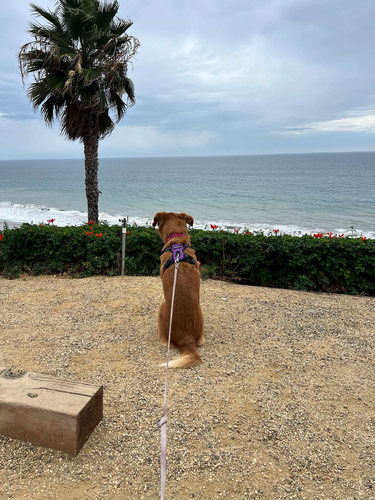 Views!