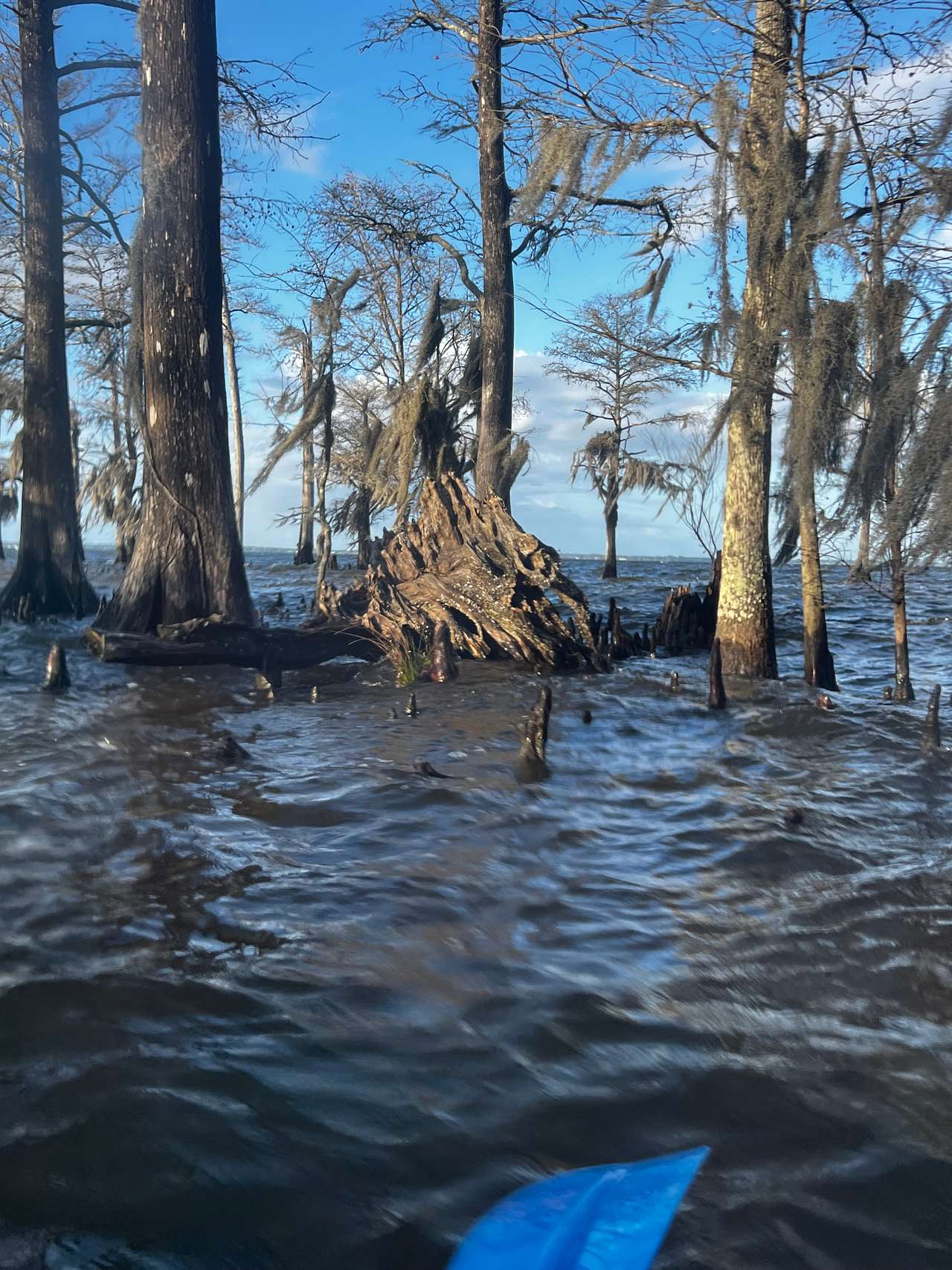 Spruill Conservation Farm