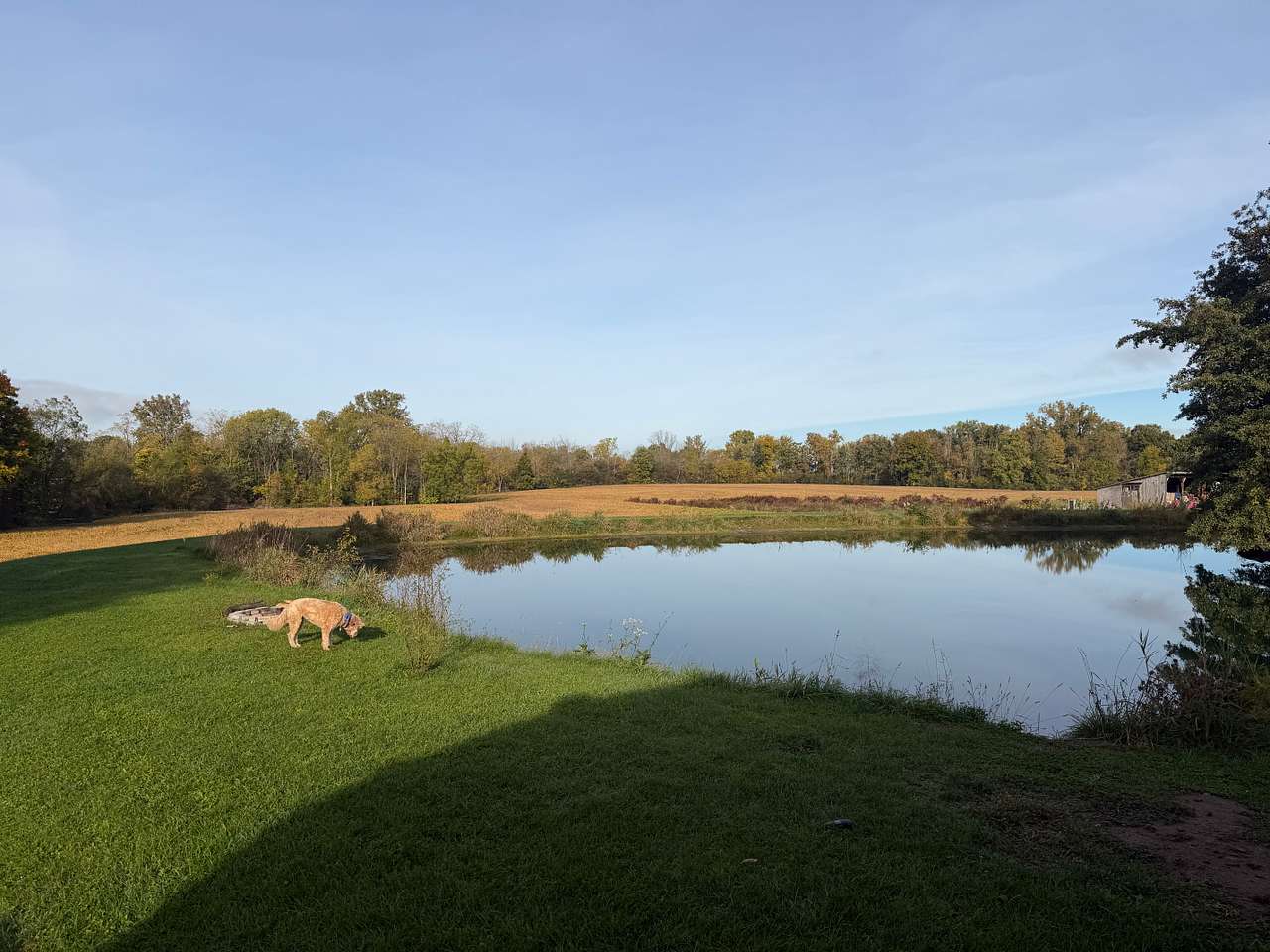 Pond Site