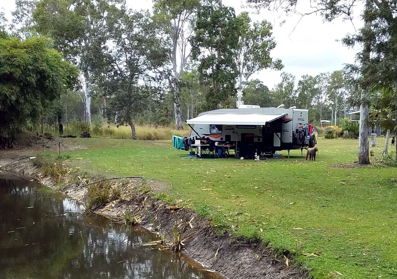 In camp with the dogs