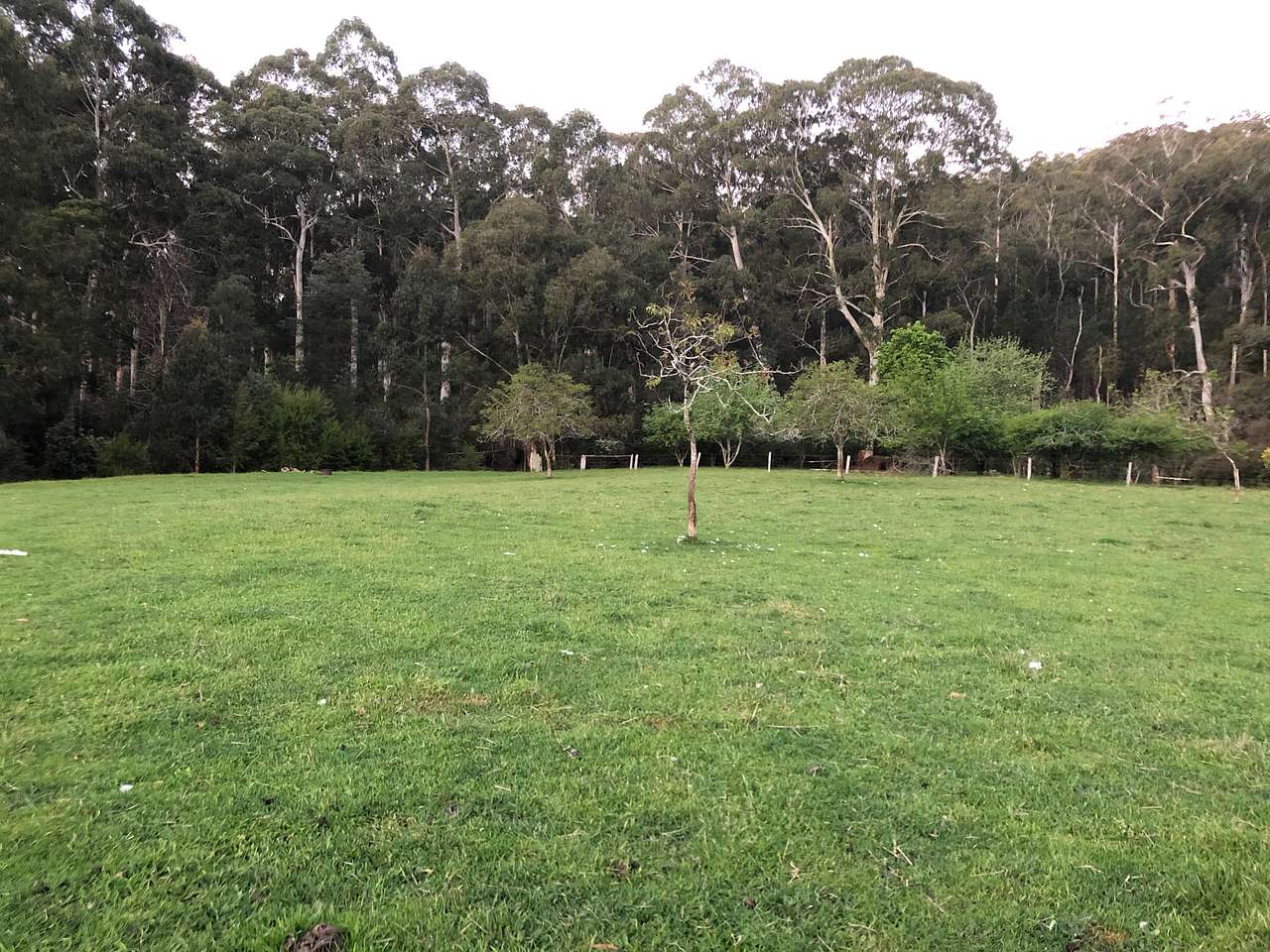 Hazelnut Valley Farm Stay