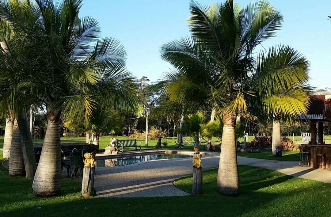 Pool BBQ area