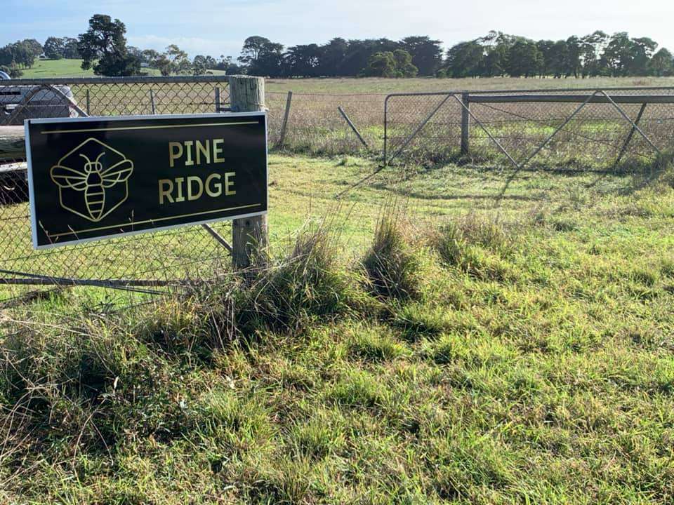 Pine Ridge entry