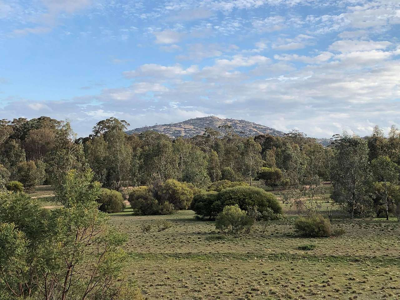 Mt Korong from Camp Kitchen