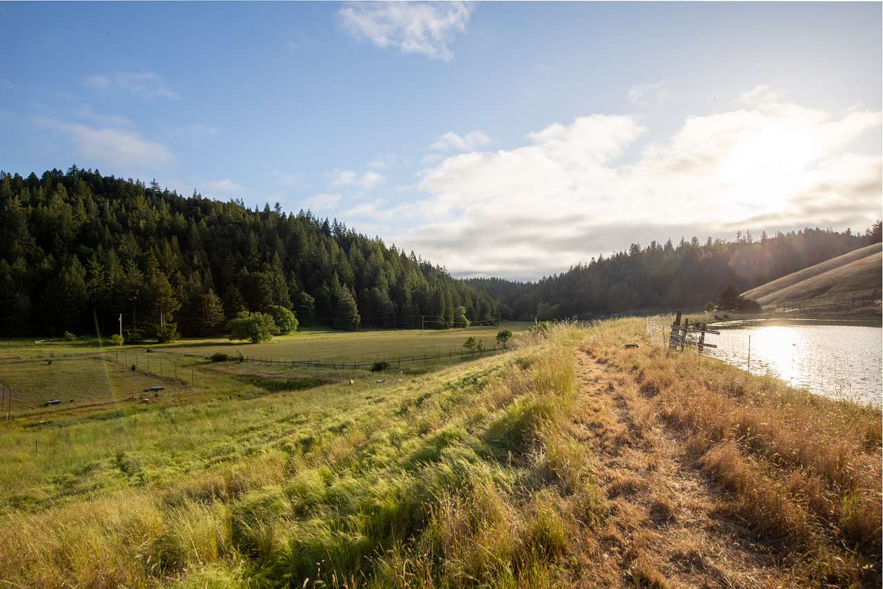 Farm near Mendocino.