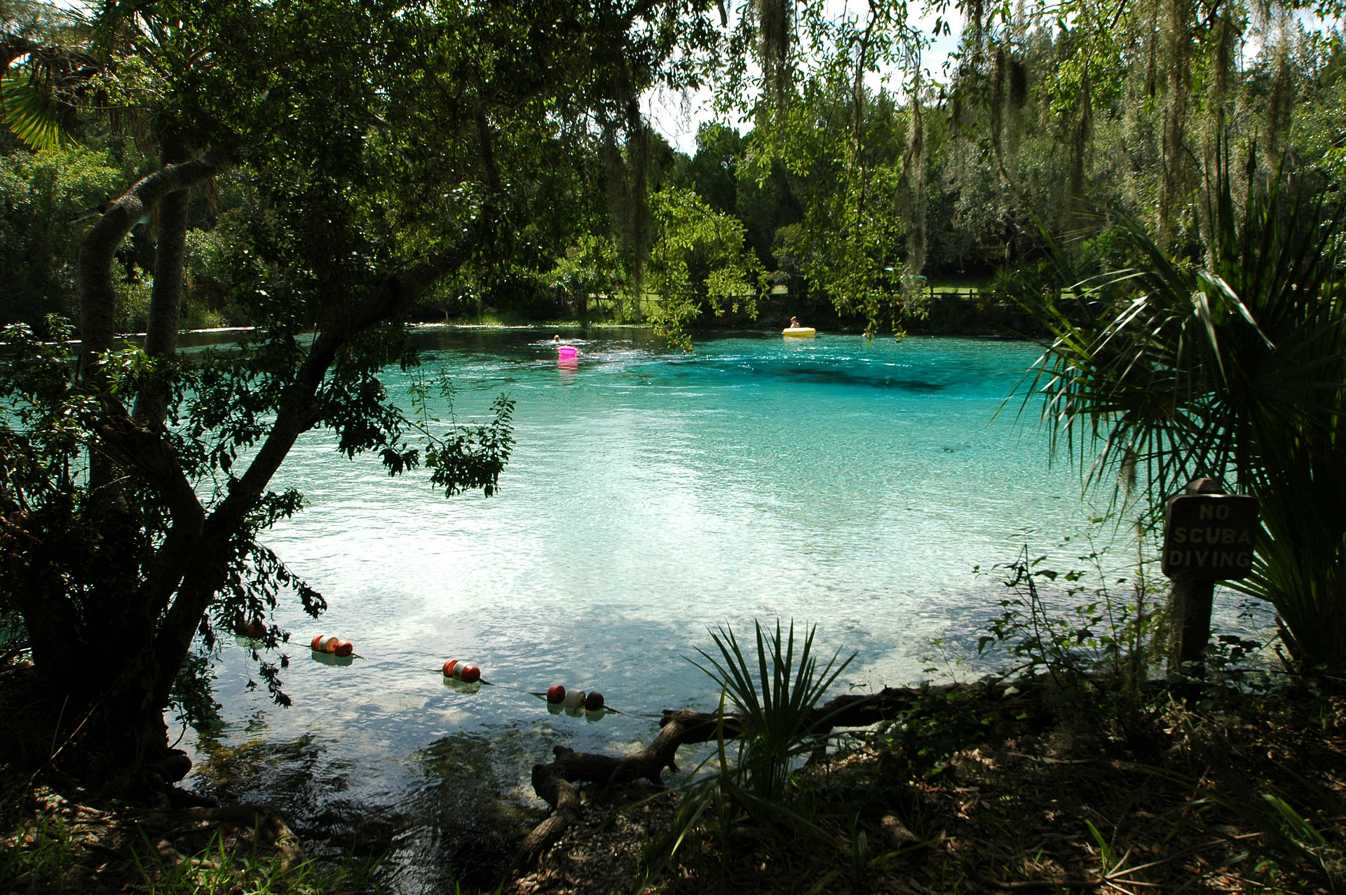 Ocala