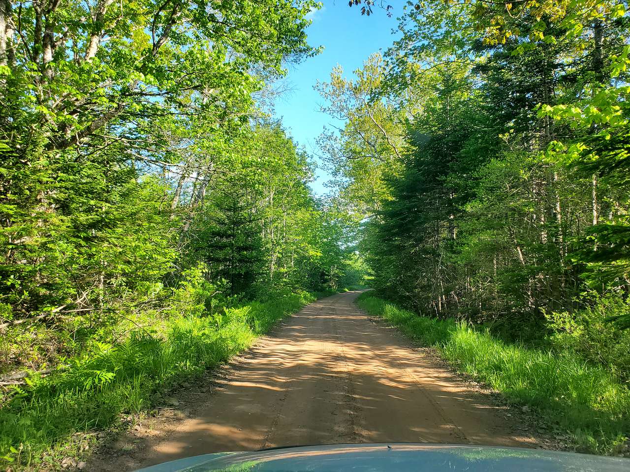 Off-grid land near Windsor, Nova Scotia