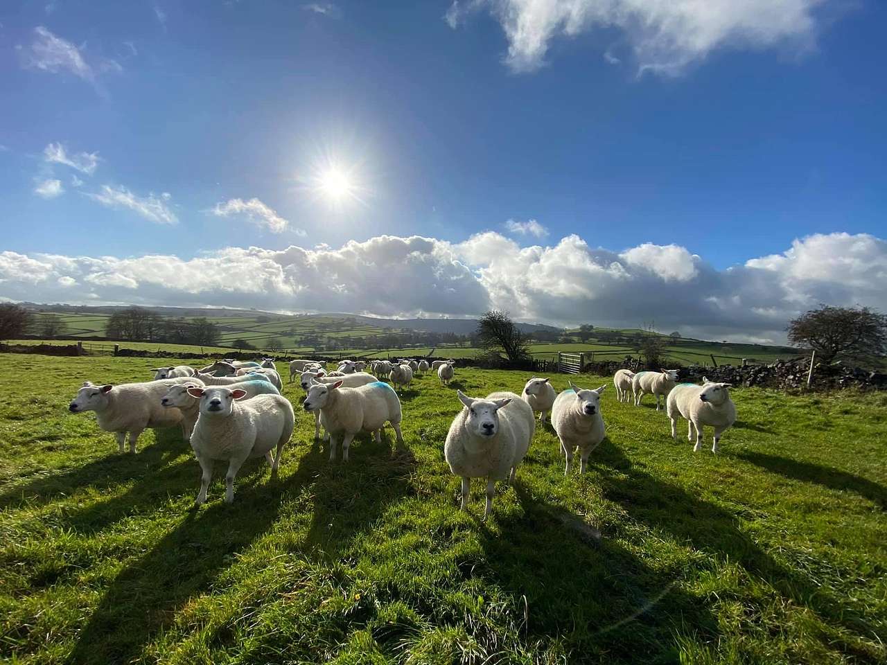 A farm site in the Peak District, Derbyshire