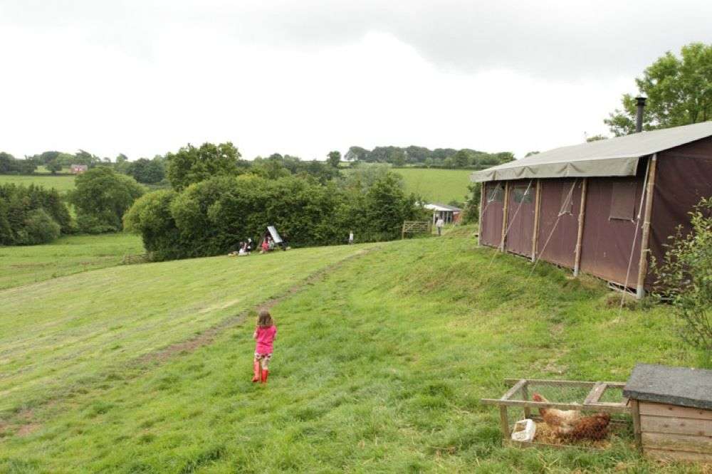 Billingsmoor Farm