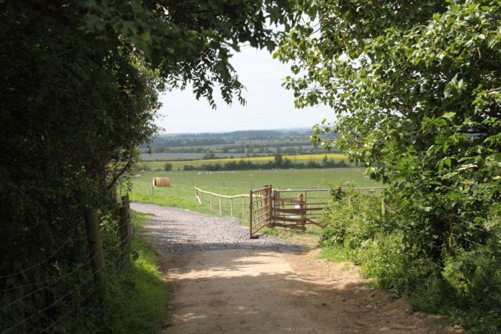 Park Farm