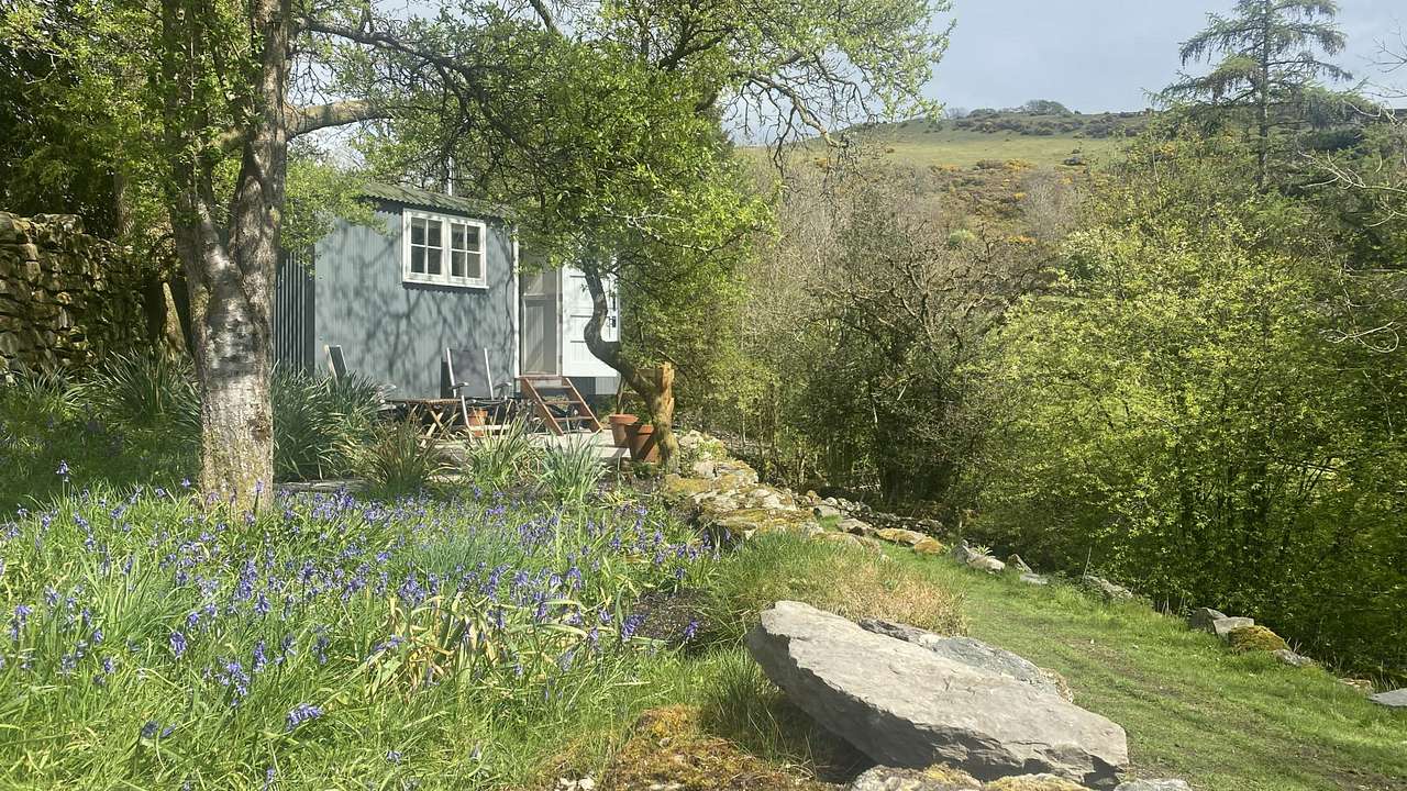 The Damson Shepherd's Hut