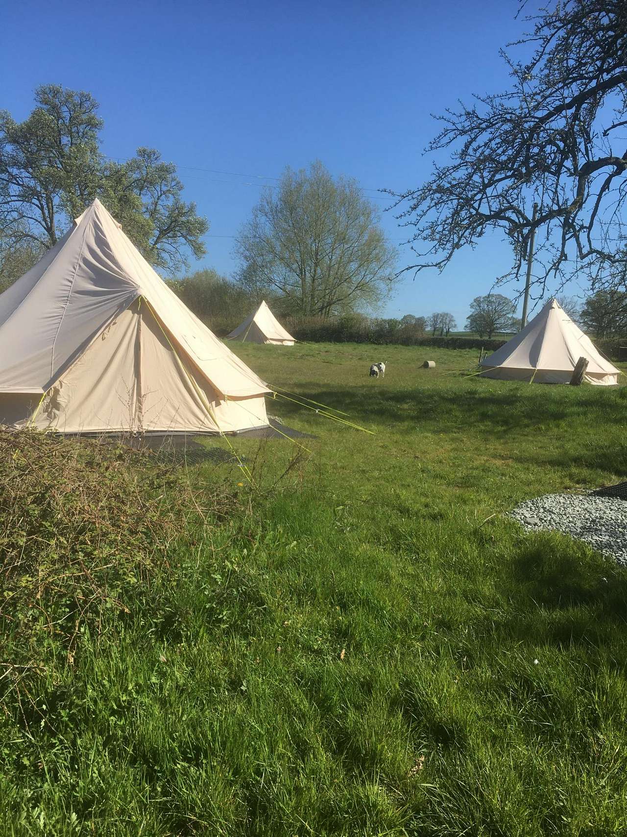 Homestead Glamping