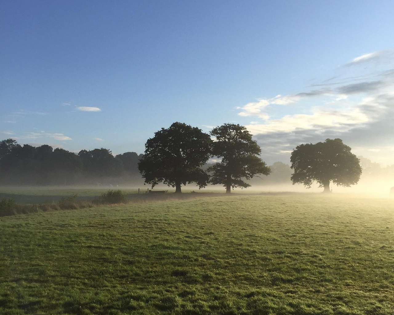 Snelling Farm Campsite