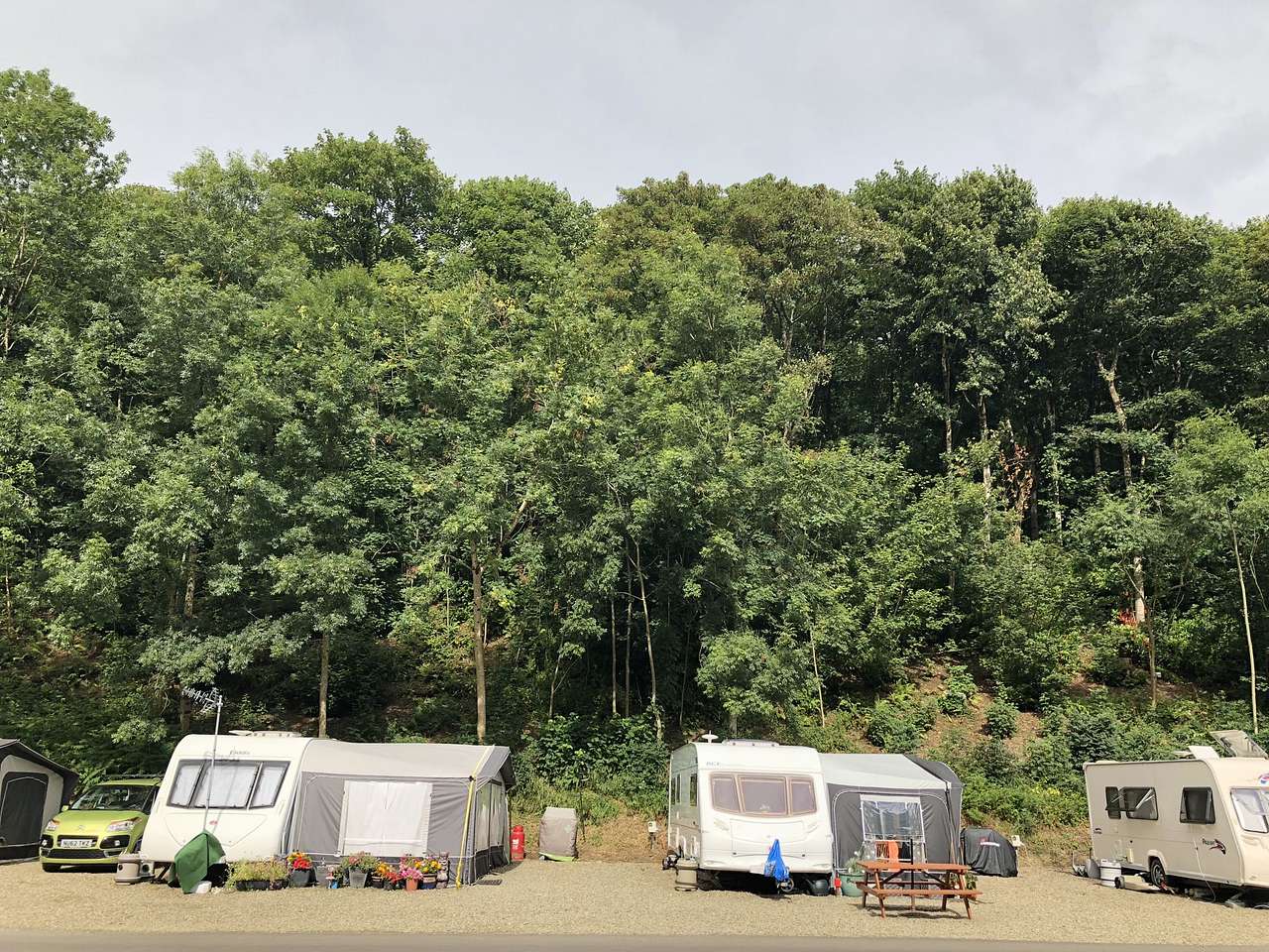 Llwyngwair Manor Holiday Park