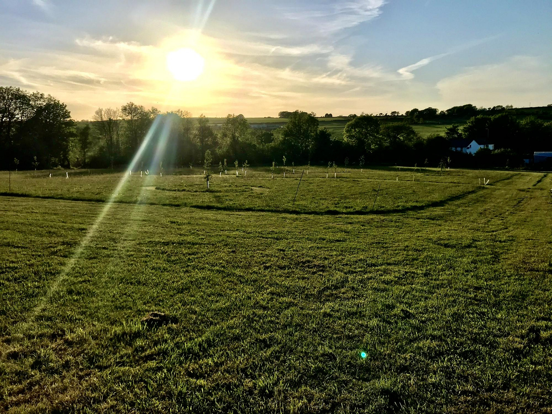Wild Meadow Camping