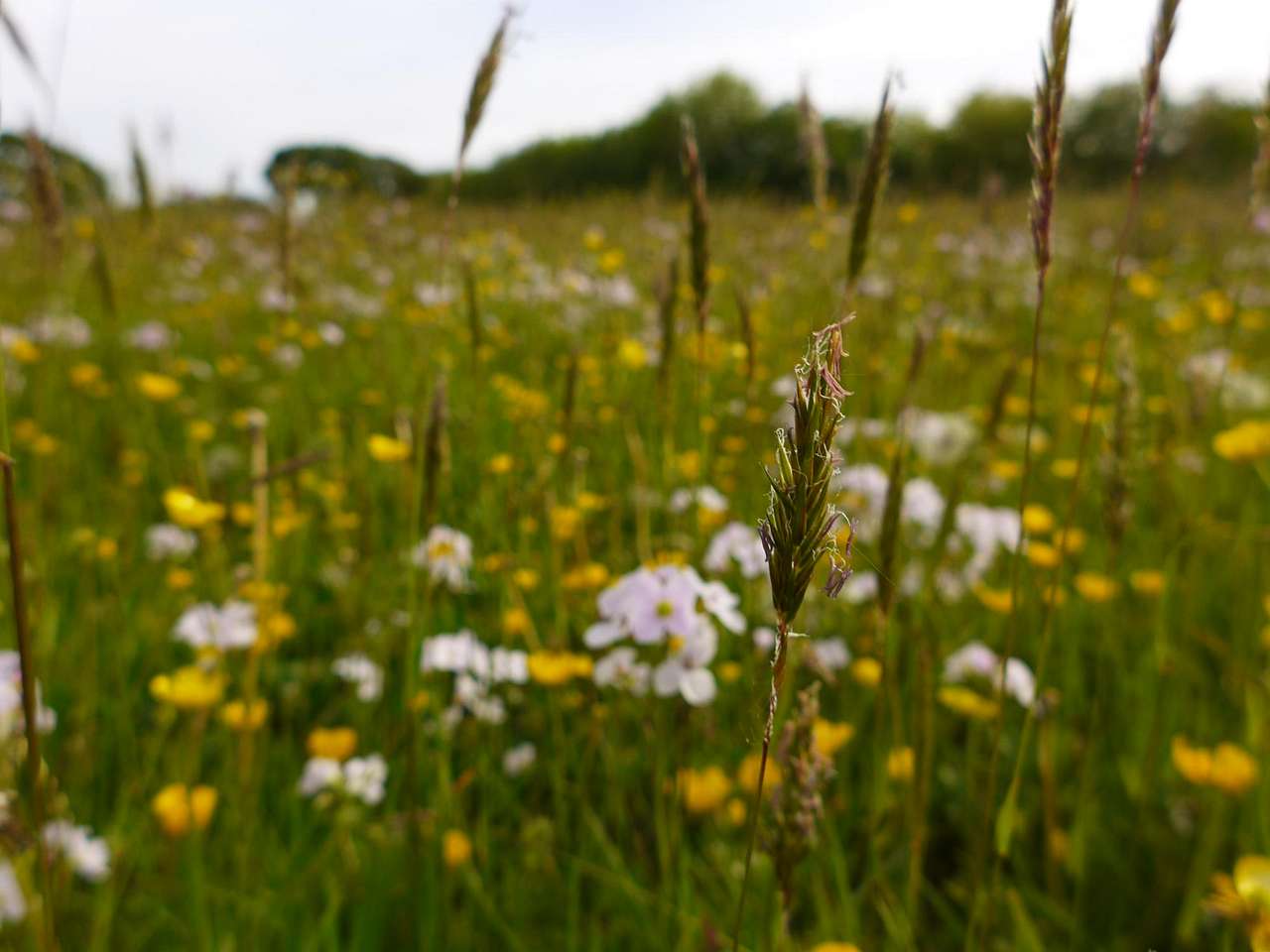 Bakesdown Farm Camping