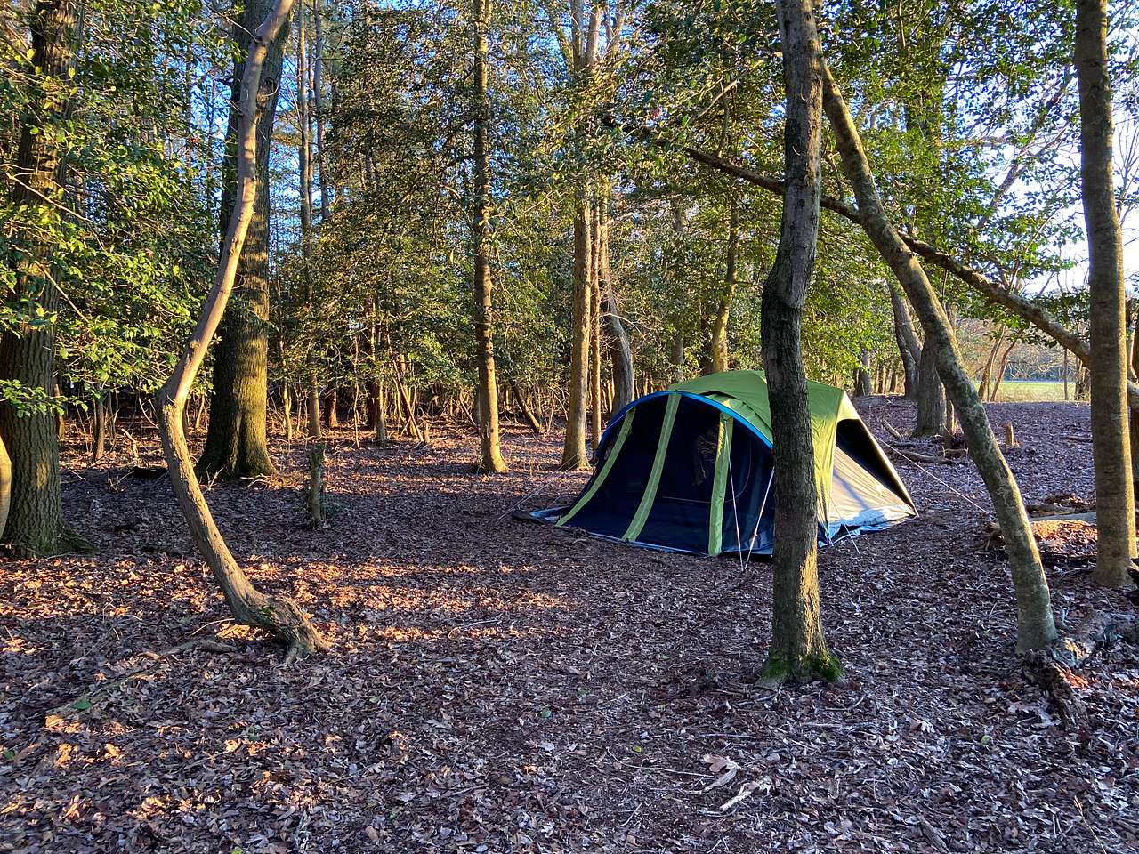Deer Forest Hideaways
