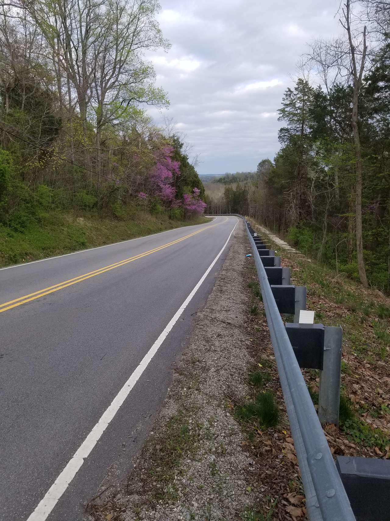 Eastern view from County Road