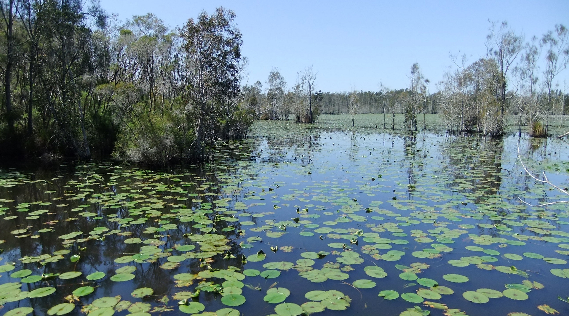 Cattai National Park