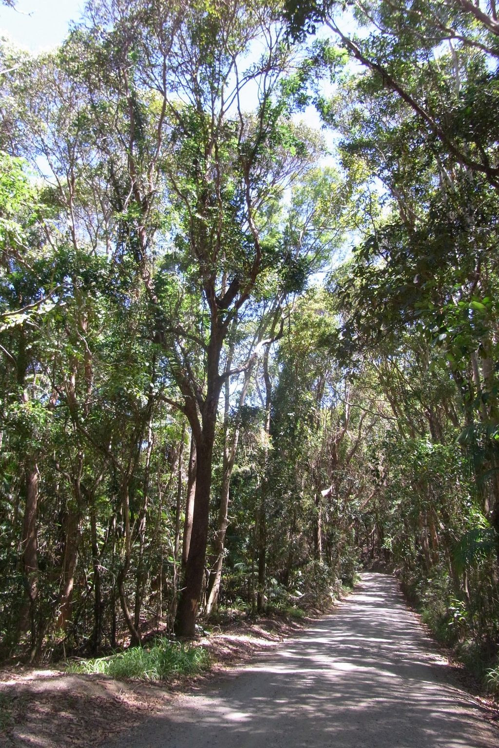 Broken Head Nature Reserve