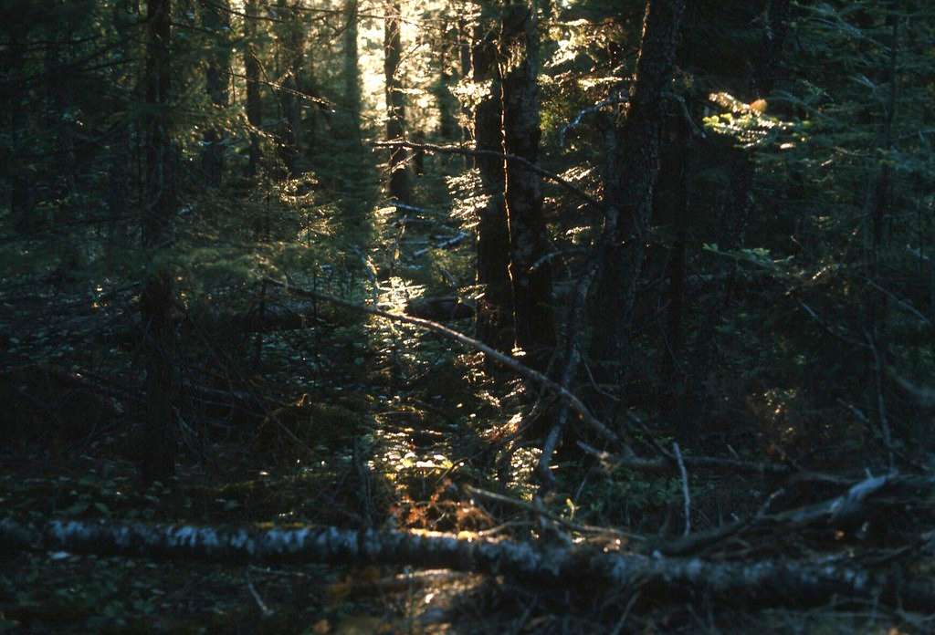 Blue Lake Provincial Park