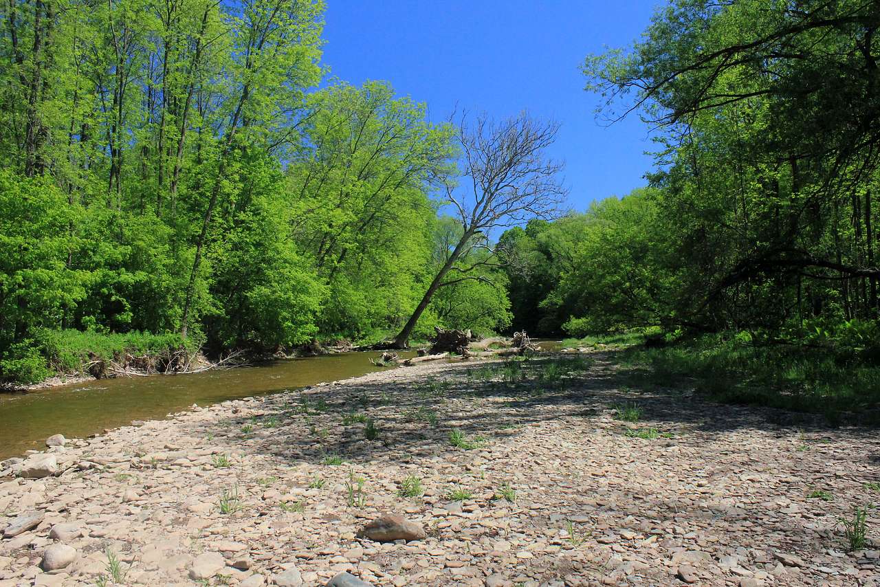 Bronte Creek Provincial Park