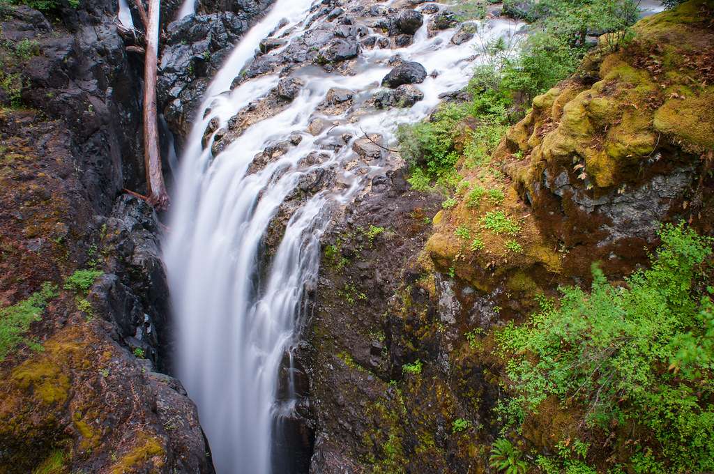 Englishman River Falls Provincial Park