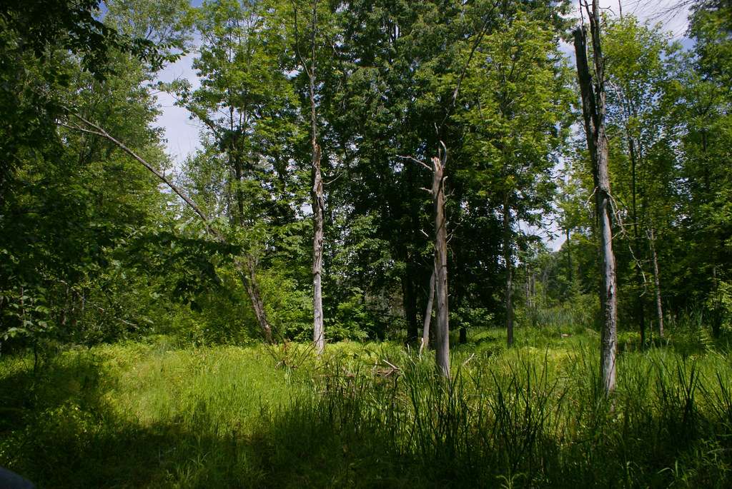 Fitzroy Provincial Park