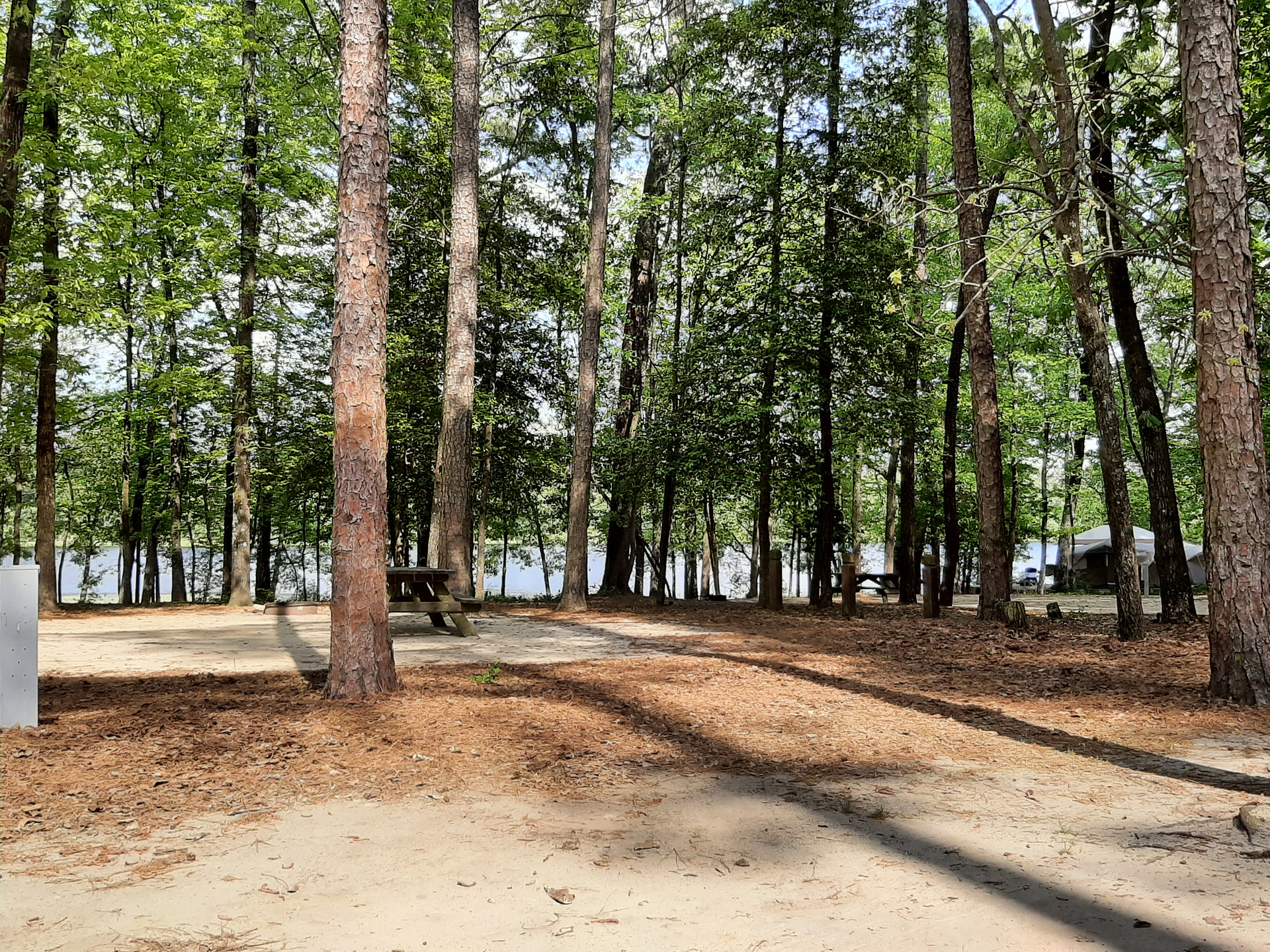 Little Pee Dee State Park