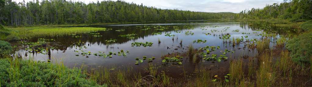 Loon Lake Provincial Park