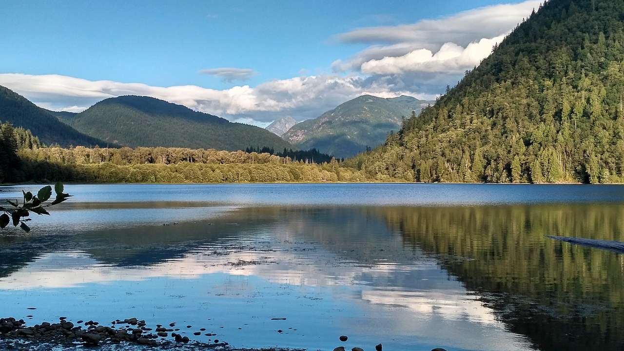 Sasquatch Provincial Park