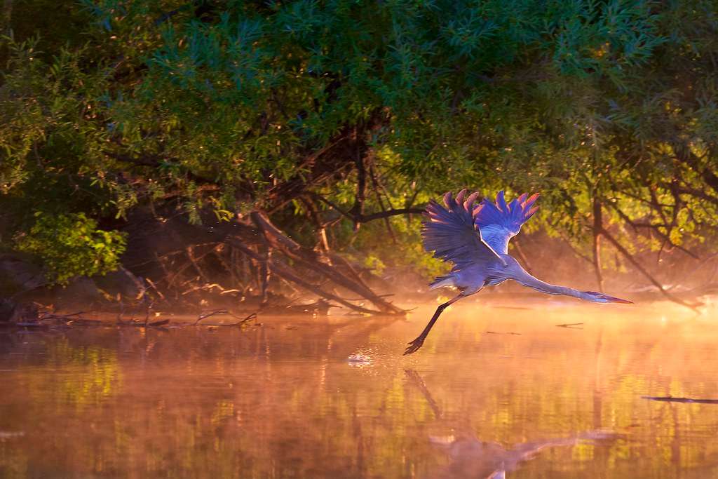 Plaisance National Park