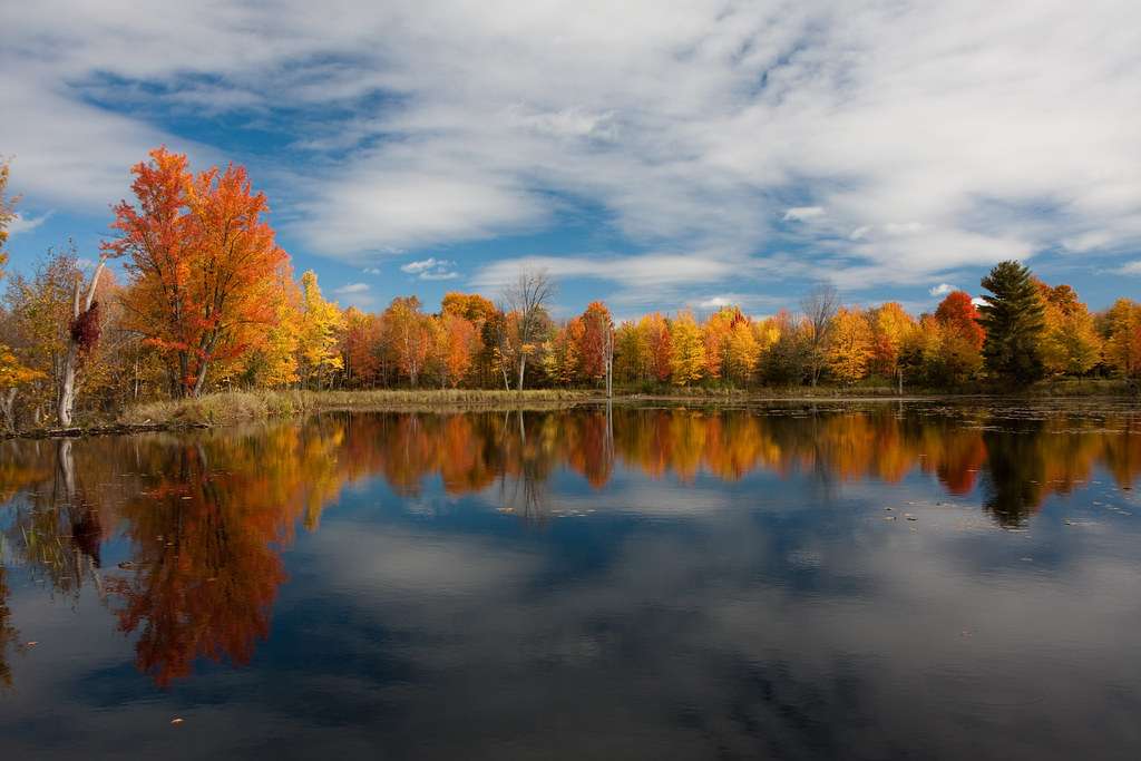 Murphys Point Provincial Park