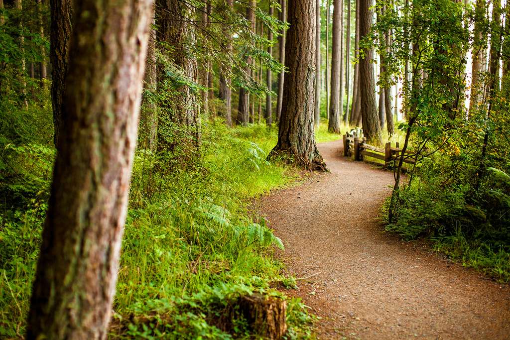 Rathtrevor Beach Provincial Park