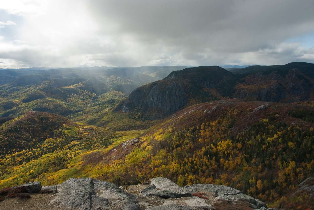 Grands-Jardins National Park