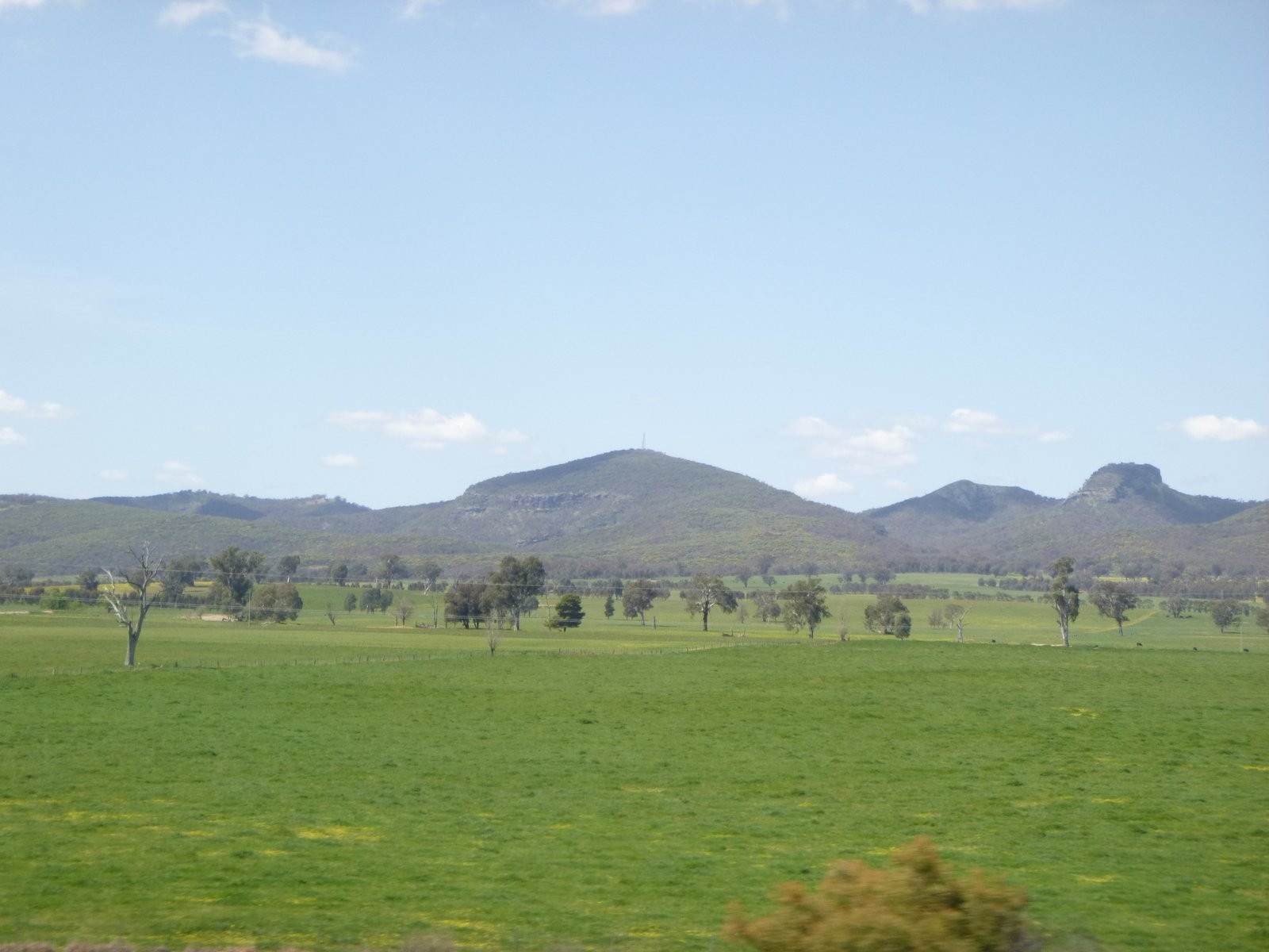 Benambra National Park