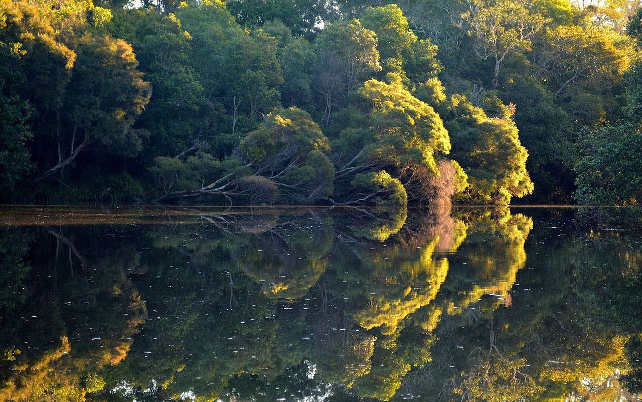 Bungawalbin National Park