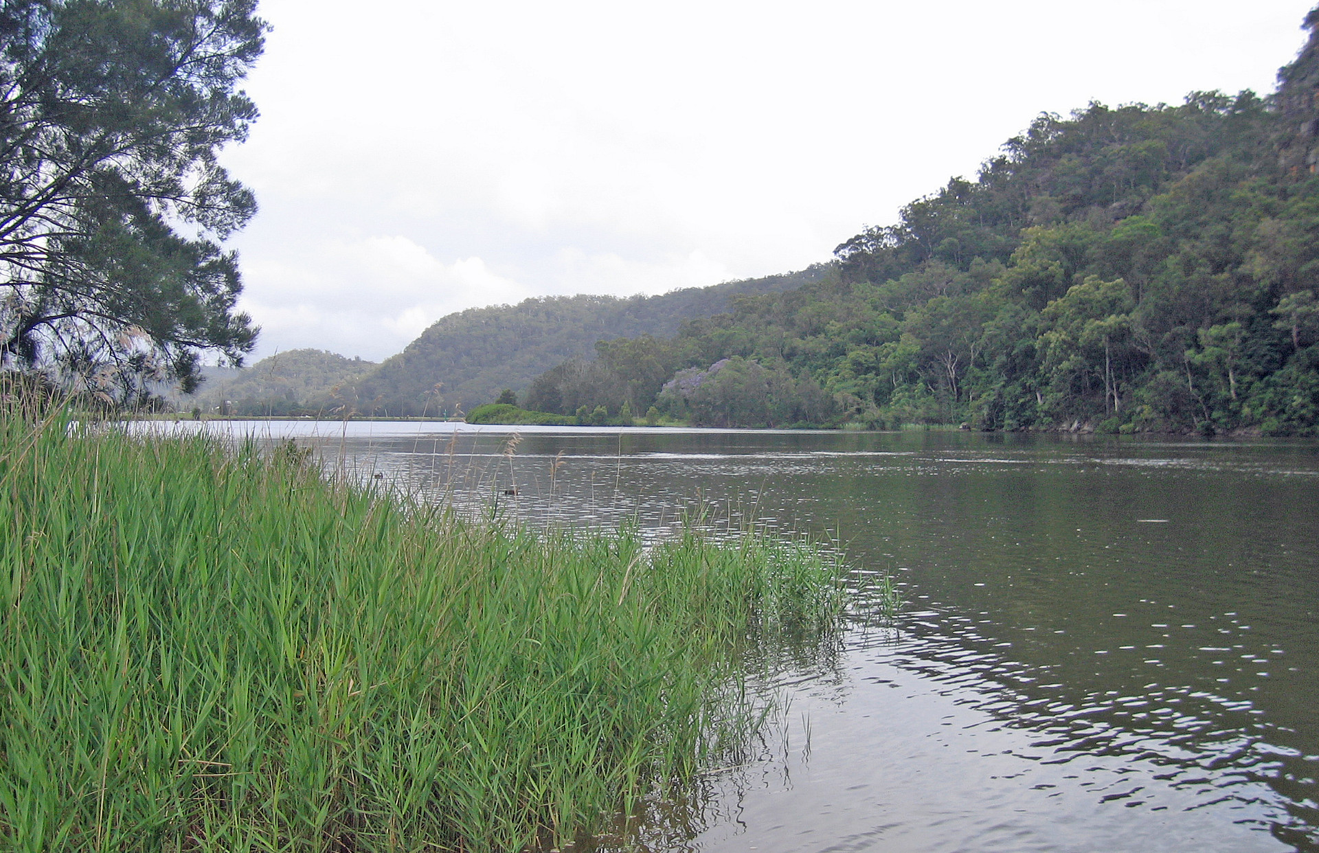 Dharug National Park