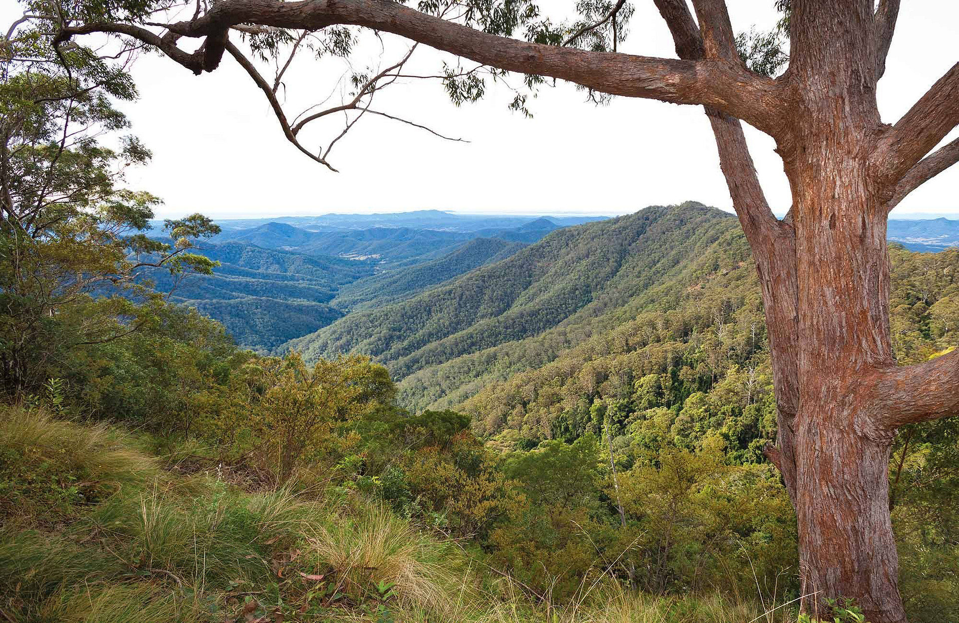 Dunggir National Park