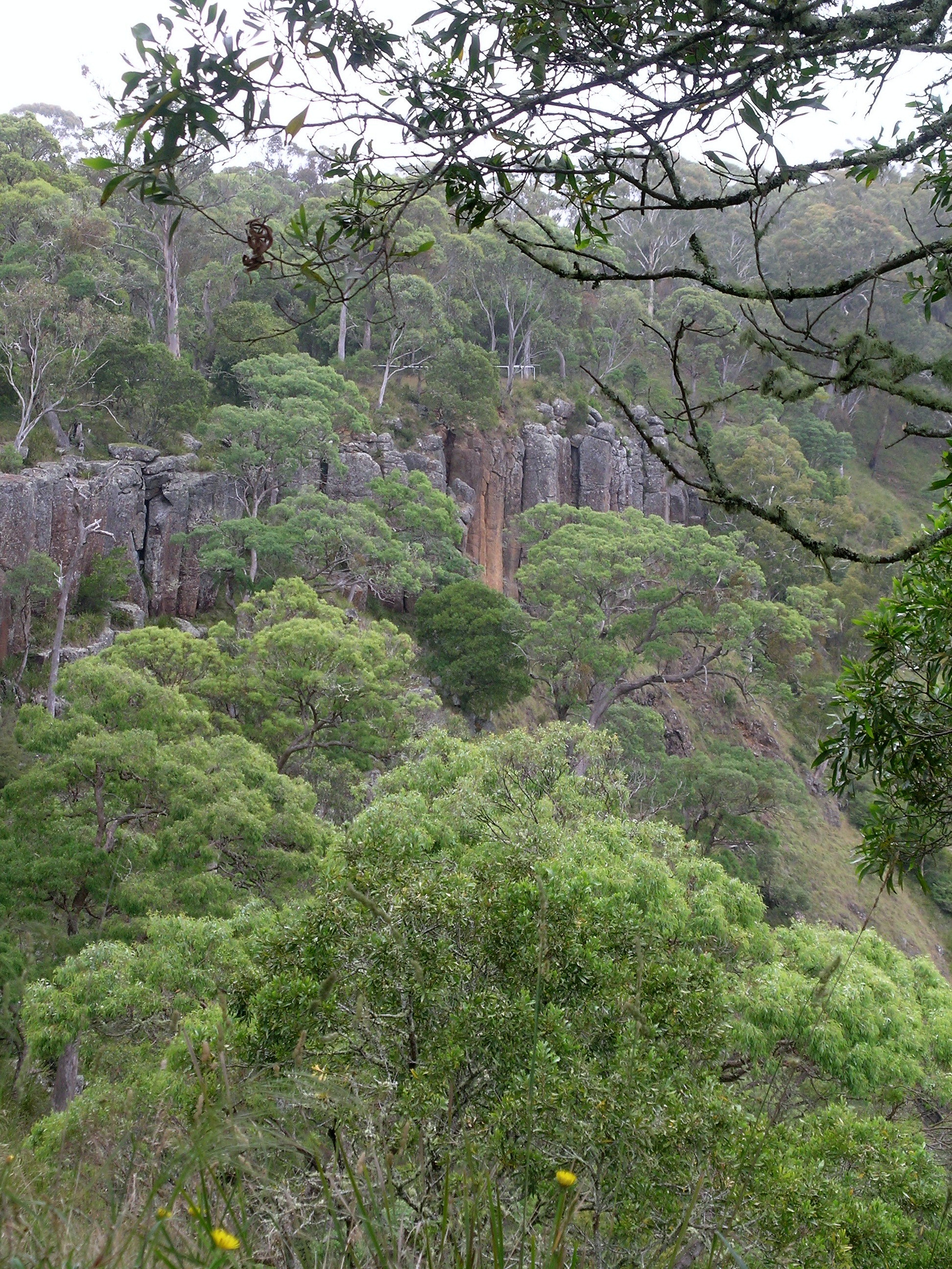 Guy Fawkes River National Park