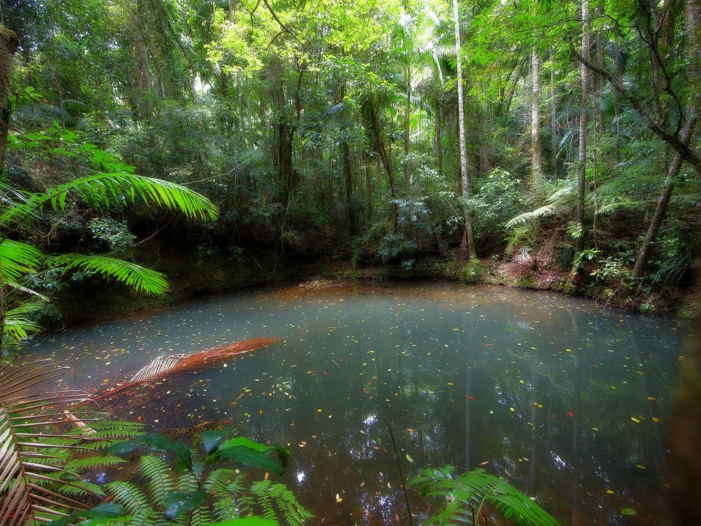 Mooball National Park